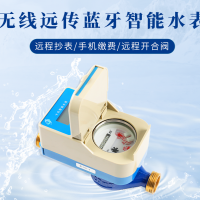 無線遠(yuǎn)傳藍(lán)牙智能水表